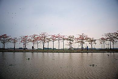 《心之眼》《红色沙漠》确认支持DLSS4 体验更好